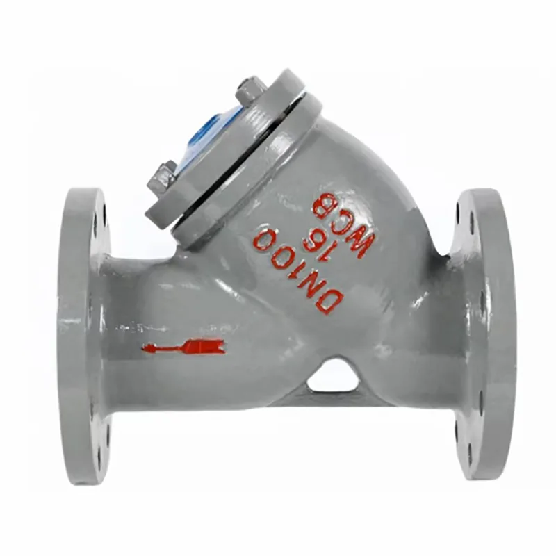 Carbon Steel Flanged Y-Typ Filter