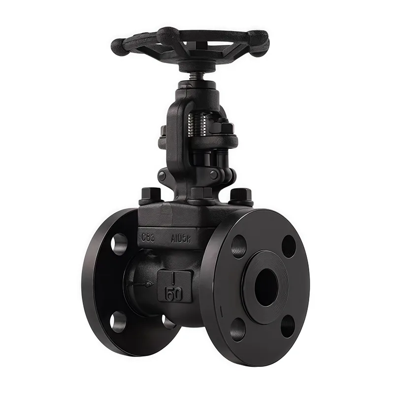 Forged Flanged Globe Ventil